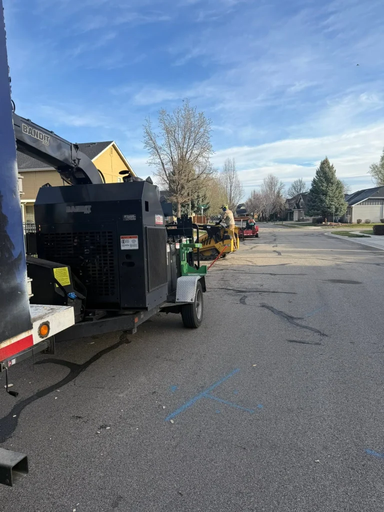 Woolf Tree Service leaving a clean slate after a tree job