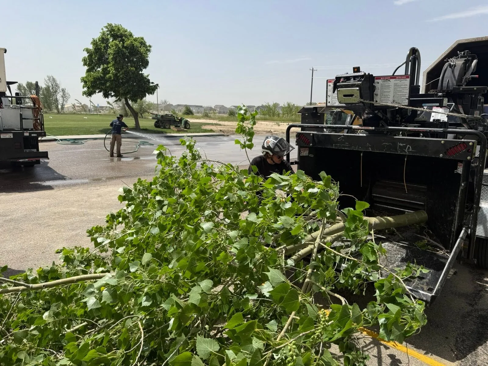 Shrub and brush removal by Woolf Tree Service