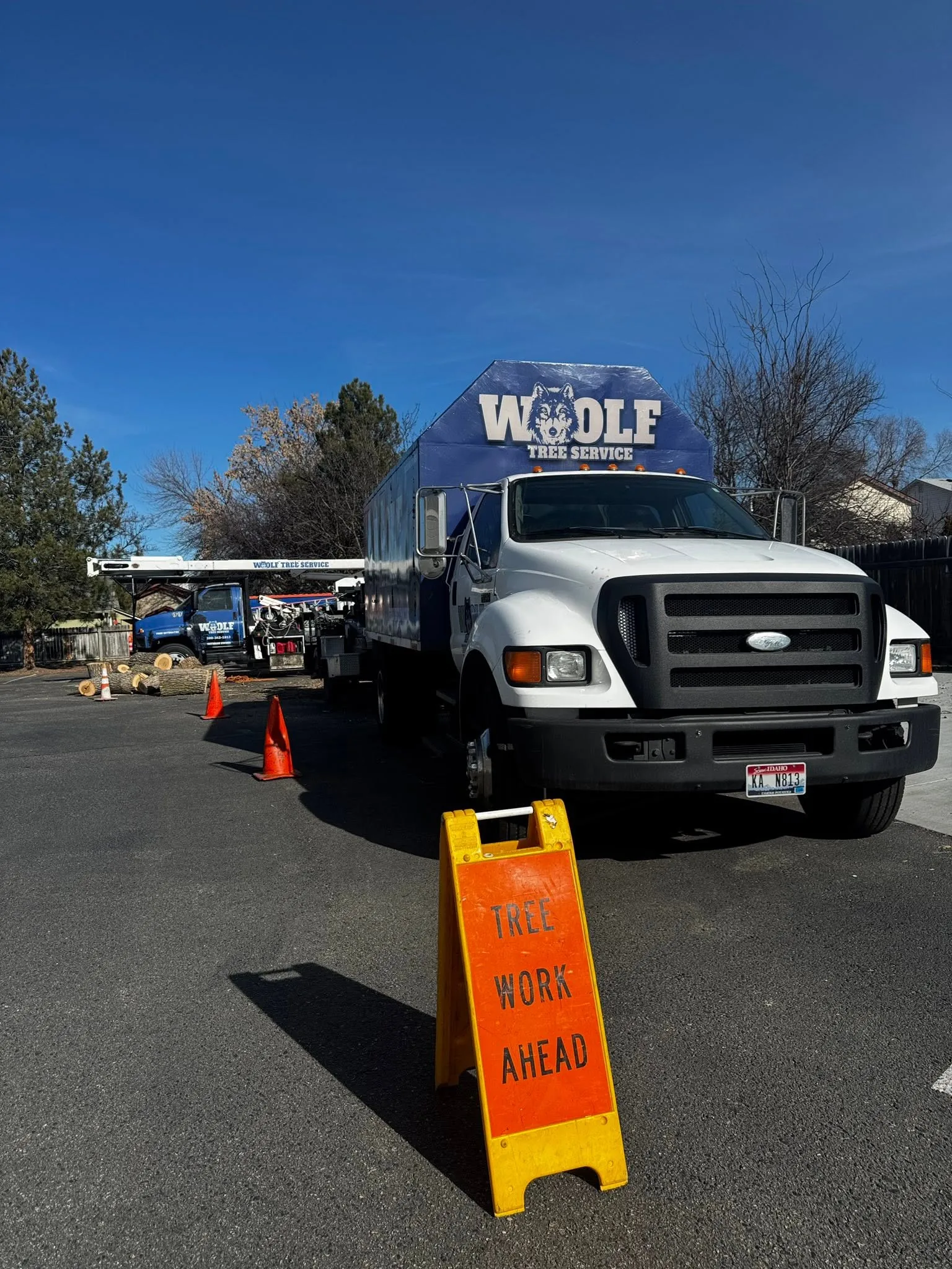 Woolf Tree Service bucket truck on a job site